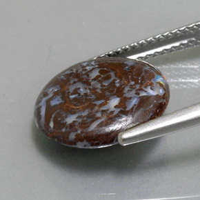 4.48克拉天然砾背蛋白石，圆形切割，不透明