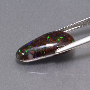 4.97克拉天然多色砾石欧泊，异形，15.5×7.8毫米，不透明