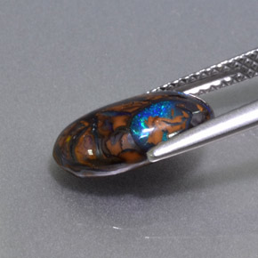 2.68克拉天然多色砾石欧泊，椭圆形切割，11.8×7.3毫米，不透明