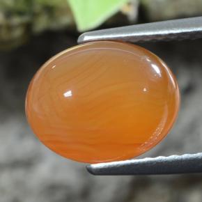 2.92克拉天然橙色红玉髓，椭圆形切割，10.1×8毫米，半透明