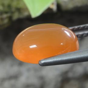 2.92克拉天然橙色红玉髓，椭圆形切割，10.1×8毫米，半透明
