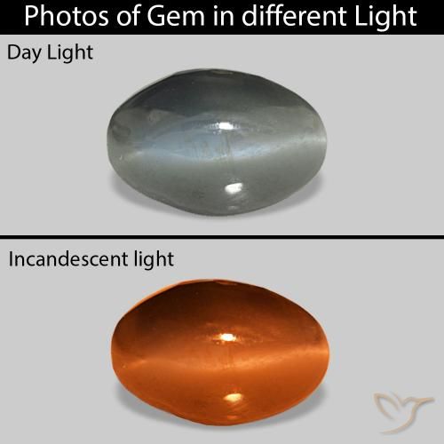 1.00克拉天然Cat's Eye Alexandrite，椭圆形，不透明