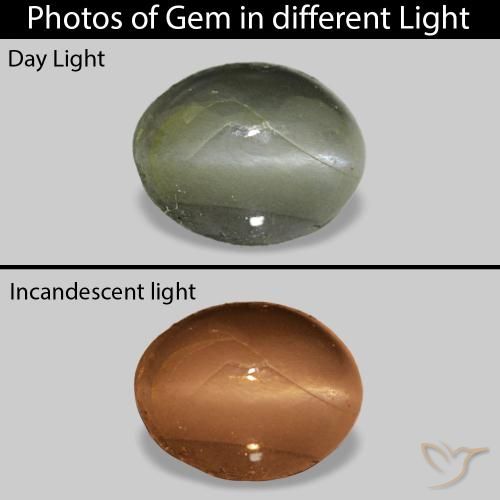 0.71克拉天然Cat's Eye Alexandrite，椭圆形，不透明