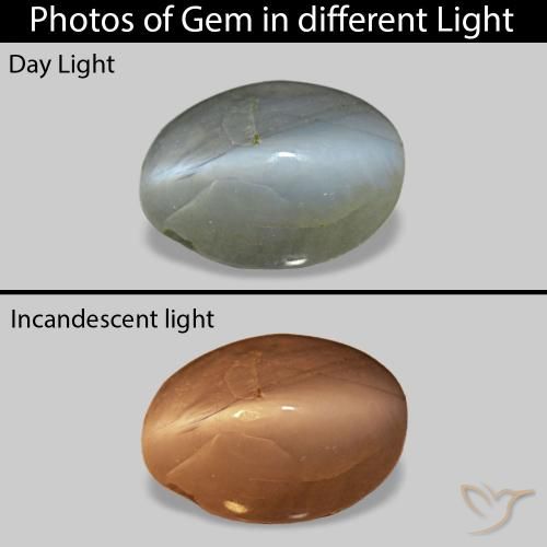 0.86克拉天然Cat's Eye Alexandrite，椭圆形，不透明