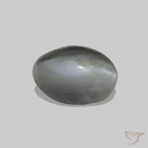 0.78克拉天然Cat's Eye Alexandrite，椭圆形，不透明