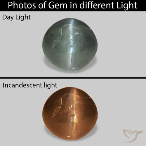 0.53ct 暖绿 Cat's Eye Alexandrite, 圆形的, 不透明