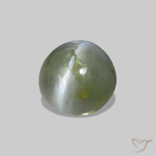 0.53克拉天然Cat's Eye Alexandrite，椭圆形，不透明