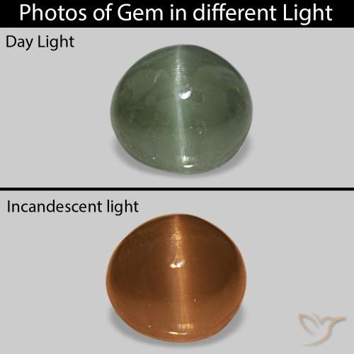 0.59克拉天然Cat's Eye Alexandrite，椭圆形，不透明