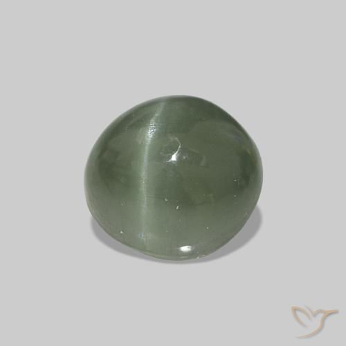 0.59克拉天然Cat's Eye Alexandrite，椭圆形，不透明