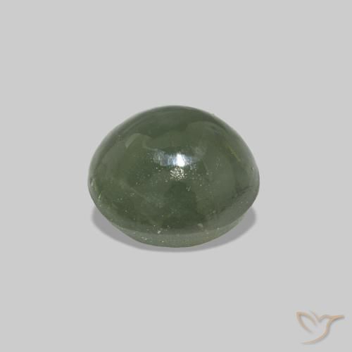 0.59克拉天然Cat's Eye Alexandrite，椭圆形，不透明