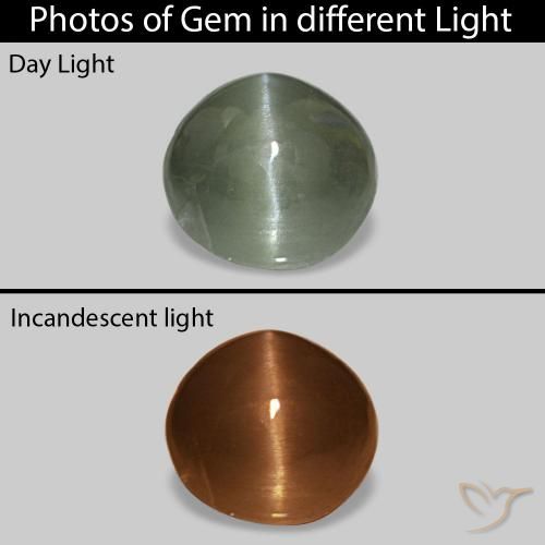 0.54ct 中绿色 Cat's Eye Alexandrite 宝石, 椭圆形, 不透明