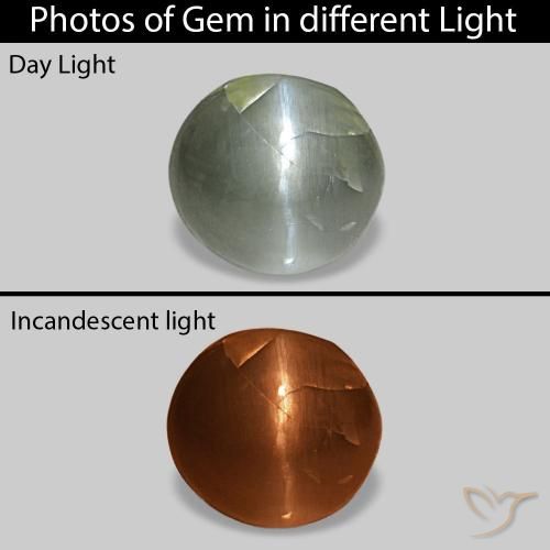 0.51ct 灰绿色 Cat's Eye Alexandrite, 椭圆形, 不透明