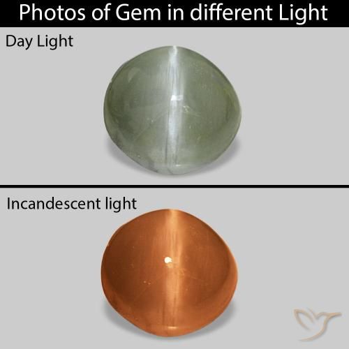 0.60克拉天然Cat's Eye Alexandrite，椭圆形，不透明