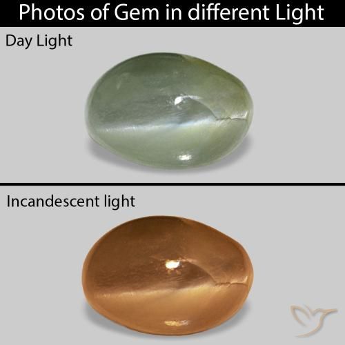 0.62克拉天然Cat's Eye Alexandrite，椭圆形，不透明