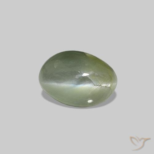 0.62克拉天然Cat's Eye Alexandrite，椭圆形，不透明