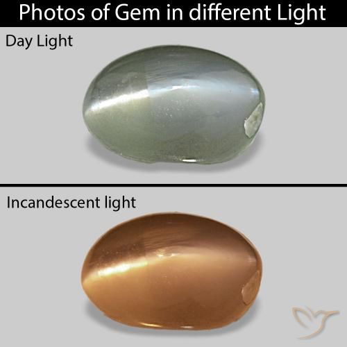 0.71ct 中绿色 Cat's Eye Alexandrite, 椭圆形, 不透明