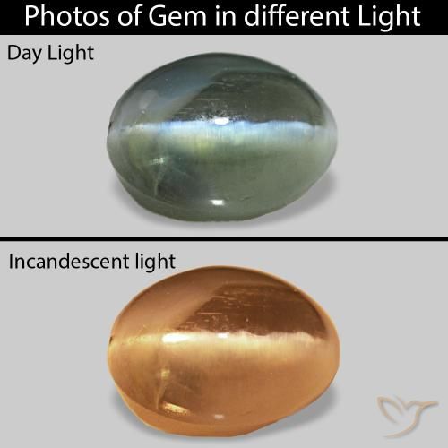 0.74ct 绿色 Cat's Eye Alexandrite 宝石, 椭圆形, 不透明