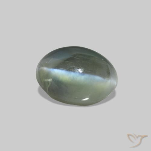 0.74克拉天然Cat's Eye Alexandrite，椭圆形，不透明