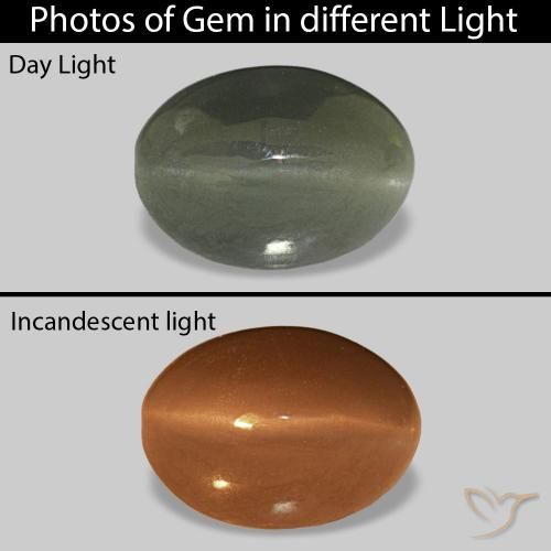 0.61ct 中绿色 Cat's Eye Alexandrite, 椭圆形, 不透明