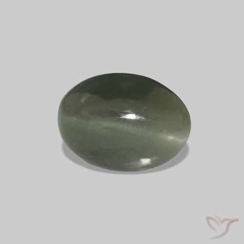 0.61克拉天然Cat's Eye Alexandrite，椭圆形，不透明