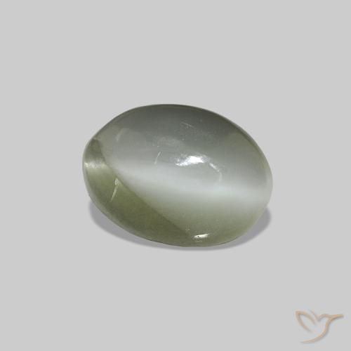 0.61克拉天然Cat's Eye Alexandrite，椭圆形，不透明