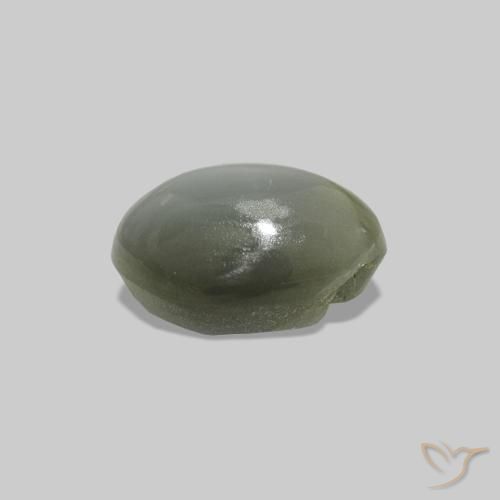 0.61克拉天然Cat's Eye Alexandrite，椭圆形，不透明