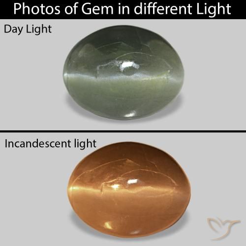 0.62克拉天然Cat's Eye Alexandrite，椭圆形，不透明