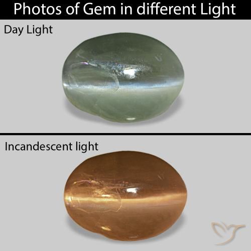 0.68ct 中绿色 Cat's Eye Alexandrite, 椭圆形, 不透明