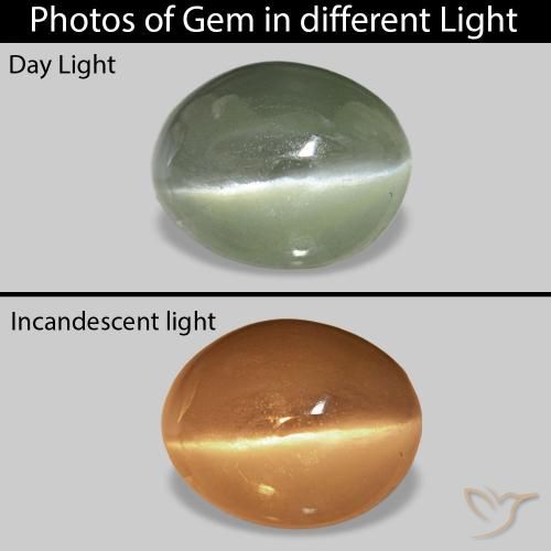 0.70ct 灰绿色 Cat's Eye Alexandrite, 椭圆形, 不透明