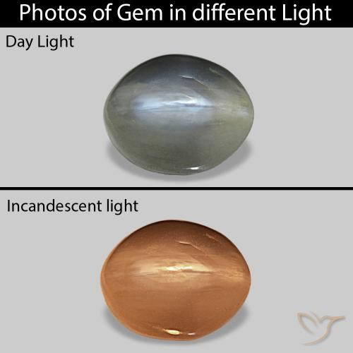 0.72克拉天然Cat's Eye Alexandrite，椭圆形，不透明