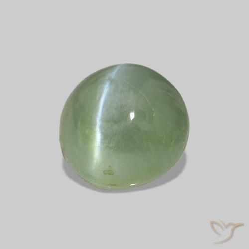 1.79克拉天然Cat's Eye Alexandrite，椭圆形，不透明