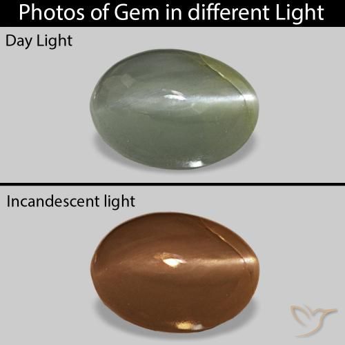 0.56克拉天然猫眼亚历山大石，椭圆形切割，不透明