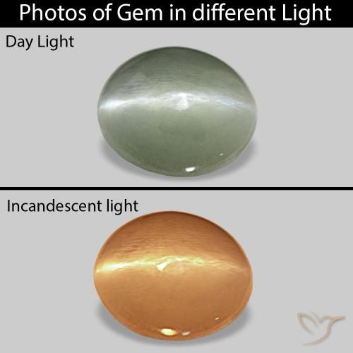 0.56克拉天然Cat's Eye Alexandrite，椭圆形，不透明