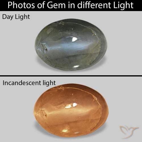 0.52克拉天然Cat's Eye Alexandrite，椭圆形，不透明