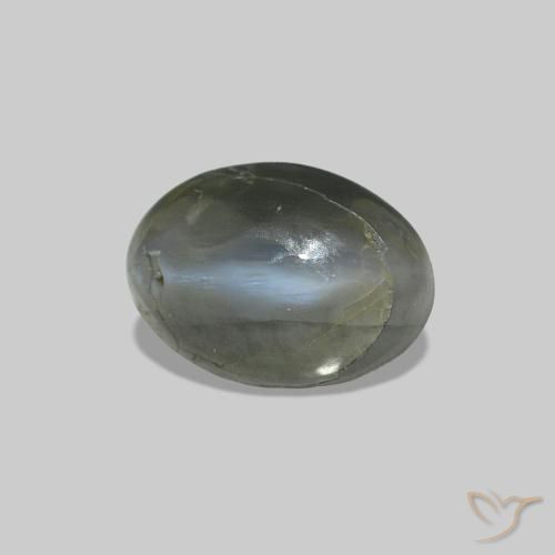 0.52克拉天然Cat's Eye Alexandrite，椭圆形，不透明