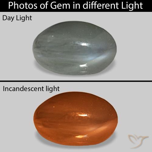 0.92克拉天然Cat's Eye Alexandrite，椭圆形，不透明