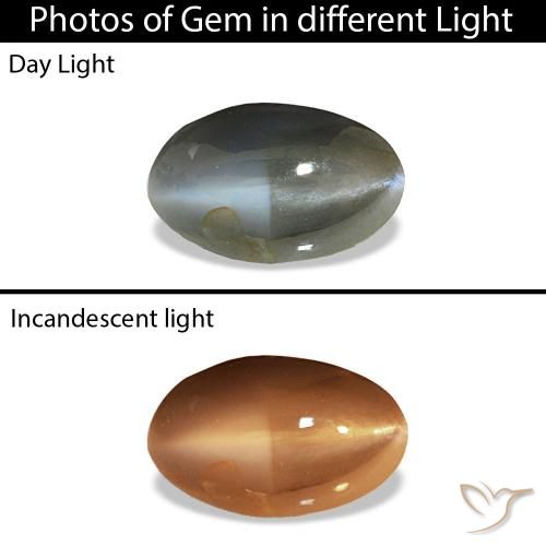 0.51ct 天然 淡绿灰色 Cat's Eye Alexandrite, 椭圆形, 不透明, Photo A