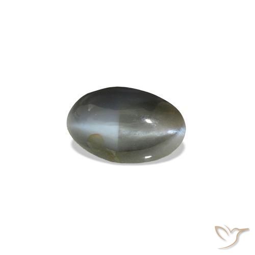 0.51克拉天然Cat's Eye Alexandrite，椭圆形，不透明