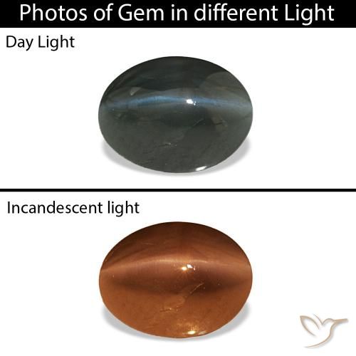 0.96克拉天然Cat's Eye Alexandrite，椭圆形，不透明