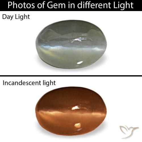 0.50克拉天然灰色Cat's Eye Alexandrite，椭圆形切割，5.1×3.5毫米，不透明