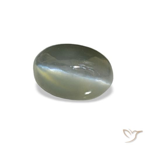 0.50克拉天然灰色Cat's Eye Alexandrite，椭圆形切割，5.1×3.5毫米，不透明
