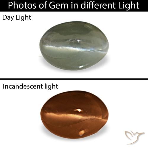 0.49克拉天然灰色Cat's Eye Alexandrite，椭圆形切割，5.3×3.7毫米，不透明