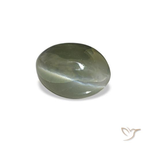 0.49克拉天然灰色Cat's Eye Alexandrite，椭圆形切割，5.3×3.7毫米，不透明