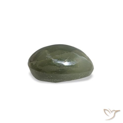 0.49克拉天然灰色Cat's Eye Alexandrite，椭圆形切割，5.3×3.7毫米，不透明