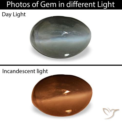 0.56克拉天然灰色Cat's Eye Alexandrite，椭圆形切割，5.5×3.8毫米，不透明