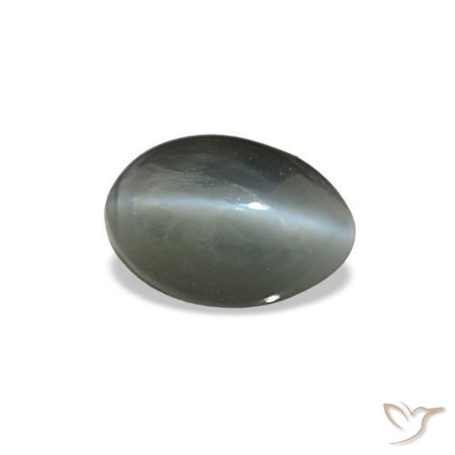 0.56克拉天然灰色Cat's Eye Alexandrite，椭圆形切割，5.5×3.8毫米，不透明