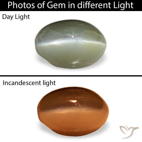 0.59克拉绿色 Cat's Eye Alexandrite, 椭圆形, 不透明