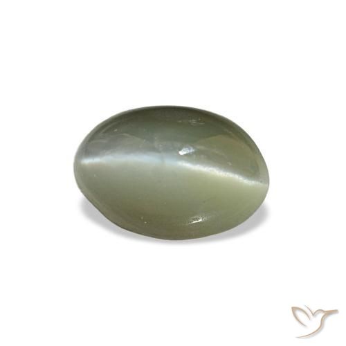 0.59克拉天然绿色Cat's Eye Alexandrite，椭圆形切割，5.2×3.6毫米，不透明