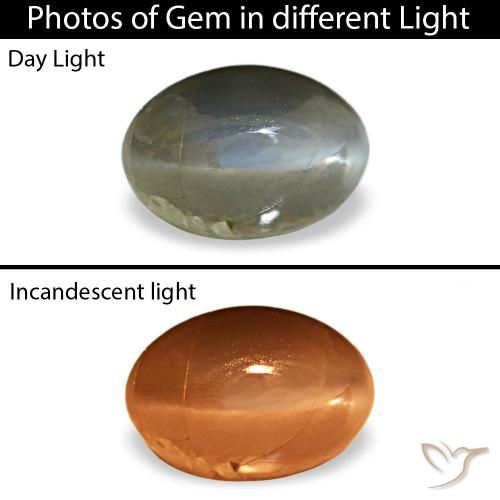 0.51克拉天然绿色Cat's Eye Alexandrite，椭圆形切割，5.5×3.7毫米，不透明