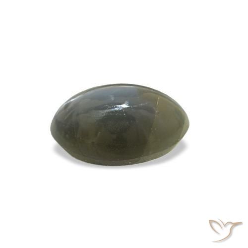 0.51克拉天然绿色Cat's Eye Alexandrite，椭圆形切割，5.5×3.7毫米，不透明
